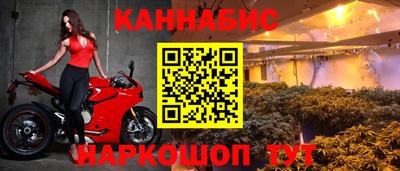 ГАЛЛЮЦИНОГЕННЫЕ ГРИБЫ Камышлов