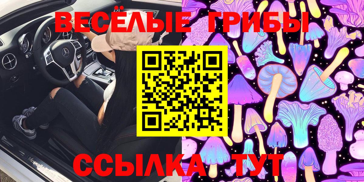 Псилоцибиновые грибы Cubensis Пятигорск